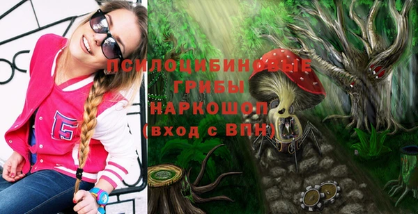 таблы Аркадак